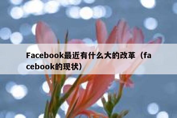 Facebook最近有什么大的改革（facebook的现状） 第1张