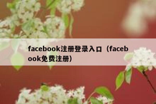 facebook注册登录入口（facebook免费注册） 第1张