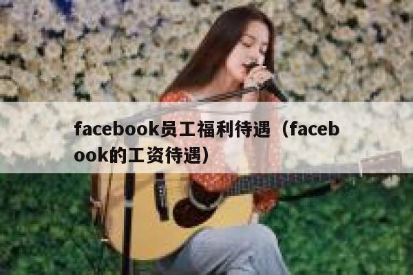 facebook员工福利待遇（facebook的工资待遇） 第1张