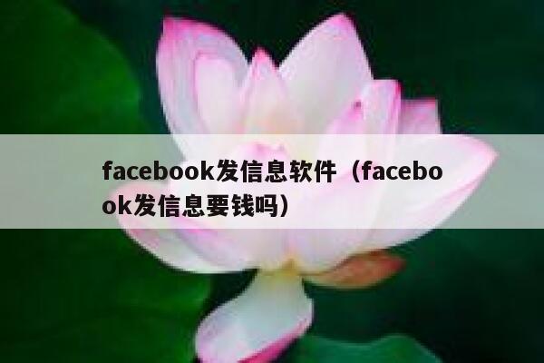 facebook发信息软件（facebook发信息要钱吗） 第1张