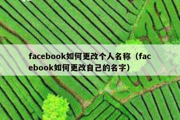 facebook如何更改个人名称（facebook如何更改自己的名字） 第1张