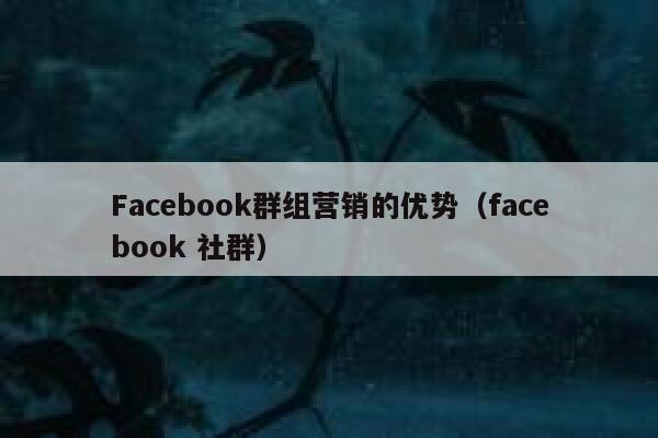 Facebook群组营销的优势（facebook 社群） 第1张