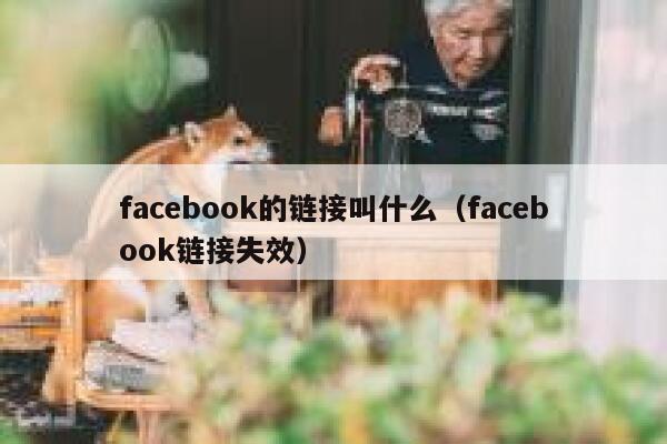 facebook的链接叫什么（facebook链接失效） 第1张
