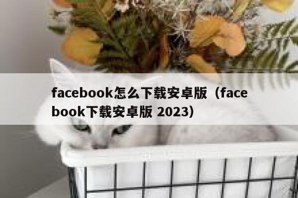 facebook怎么下载安卓版（facebook下载安卓版 2023） 第1张