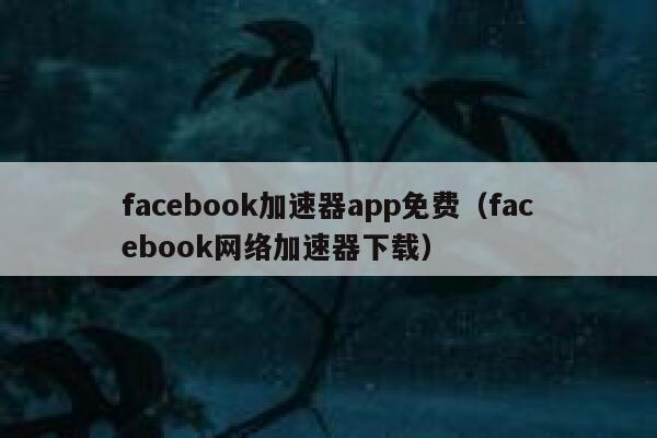 facebook加速器app免费（facebook网络加速器下载） 第1张