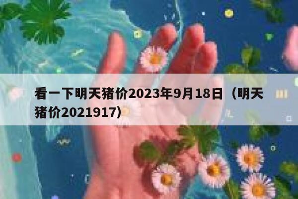 看一下明天猪价2023年9月18日（明天猪价2021917） 第1张