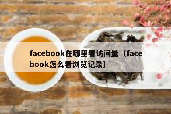 facebook在哪里看访问量（facebook怎么看浏览记录） 第1张