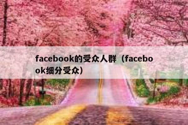 facebook的受众人群（facebook细分受众） 第1张