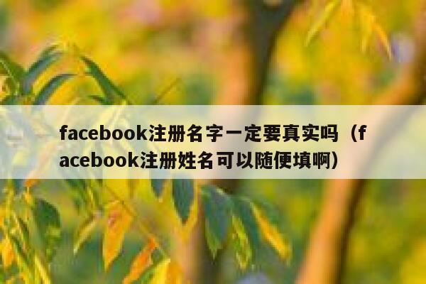 facebook注册名字一定要真实吗（facebook注册姓名可以随便填啊） 第1张