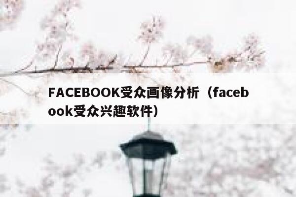 FACEBOOK受众画像分析（facebook受众兴趣软件） 第1张