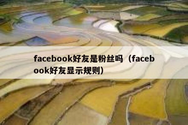 facebook好友是粉丝吗（facebook好友显示规则） 第1张