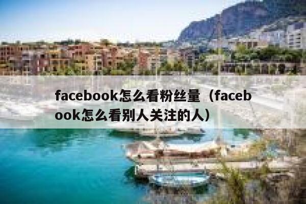 facebook怎么看粉丝量（facebook怎么看别人关注的人） 第1张