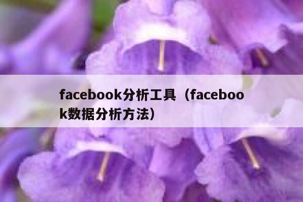 facebook分析工具（facebook数据分析方法） 第1张