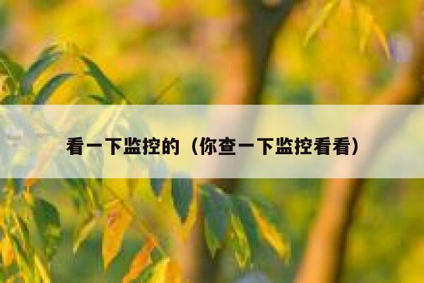 看一下监控的（你查一下监控看看） 第1张