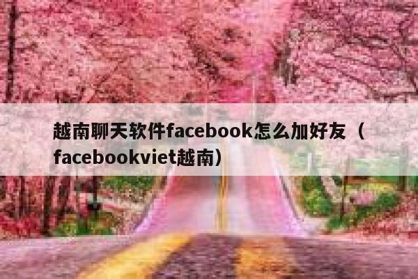 越南聊天软件facebook怎么加好友（facebookviet越南） 第1张
