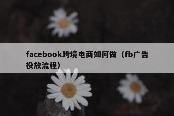 facebook跨境电商如何做（fb广告投放流程） 第1张
