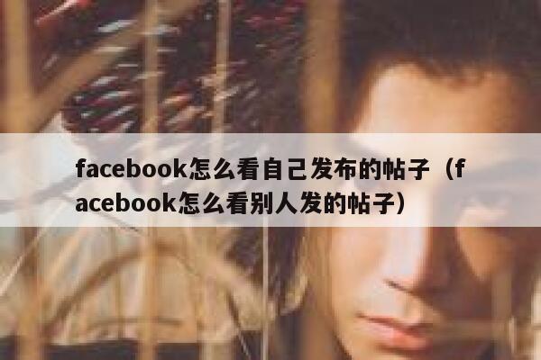 facebook怎么看自己发布的帖子（facebook怎么看别人发的帖子） 第1张