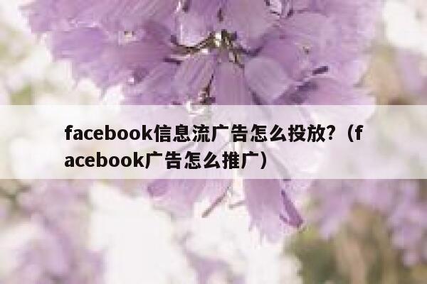 facebook信息流广告怎么投放?（facebook广告怎么推广） 第1张