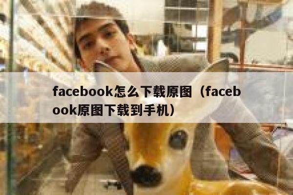 facebook怎么下载原图（facebook原图下载到手机） 第1张