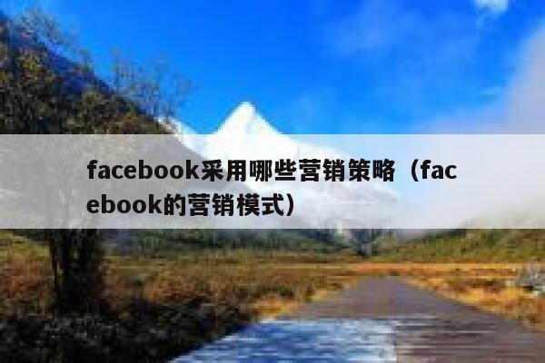 facebook采用哪些营销策略（facebook的营销模式） 第1张