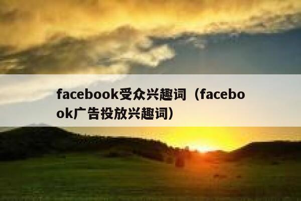 facebook受众兴趣词（facebook广告投放兴趣词） 第1张