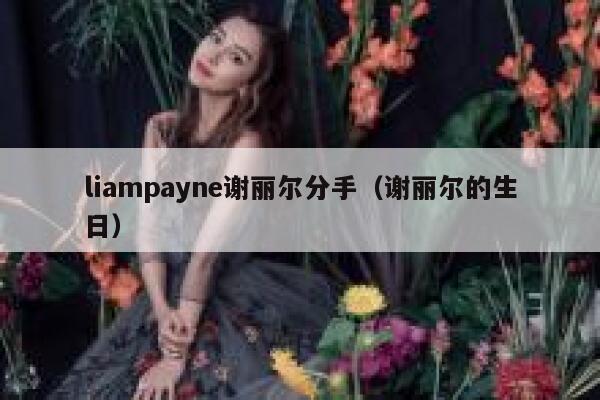 liampayne谢丽尔分手（谢丽尔的生日） 第1张