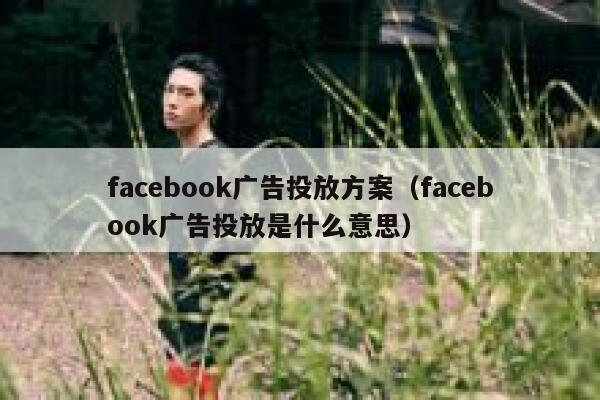 facebook广告投放方案（facebook广告投放是什么意思） 第1张