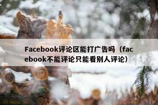 Facebook评论区能打广告吗（facebook不能评论只能看别人评论） 第1张
