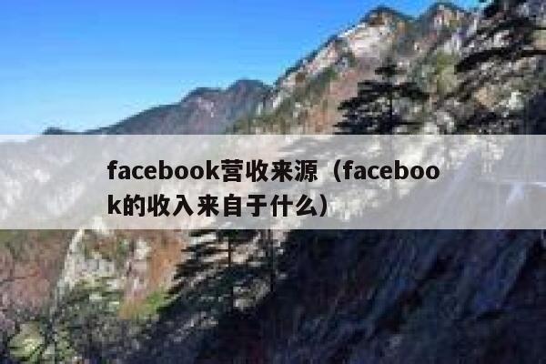 facebook营收来源（facebook的收入来自于什么） 第1张