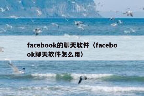 facebook的聊天软件（facebook聊天软件怎么用） 第1张