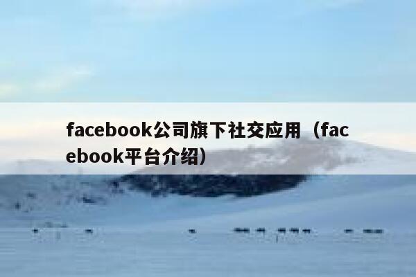 facebook公司旗下社交应用（facebook平台介绍） 第1张