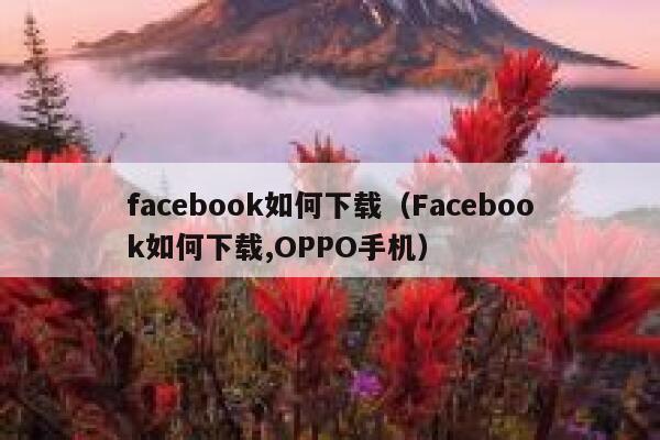 facebook如何下载（Facebook如何下载,OPPO手机） 第1张