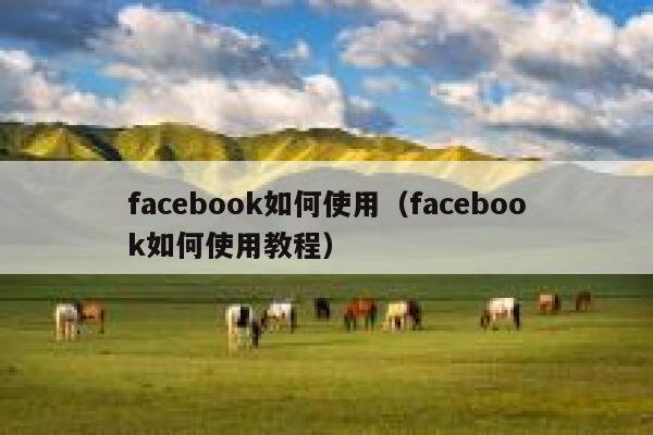 facebook如何使用（facebook如何使用教程） 第1张