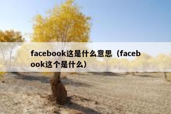facebook这是什么意思（facebook这个是什么） 第1张