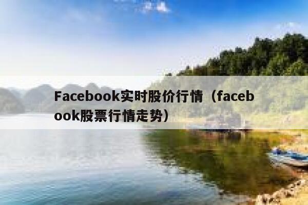 Facebook实时股价行情（facebook股票行情走势） 第1张
