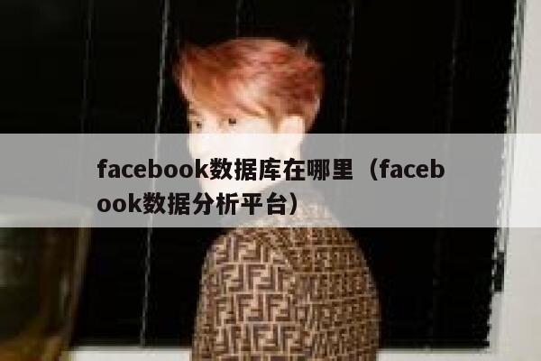 facebook数据库在哪里（facebook数据分析平台） 第1张