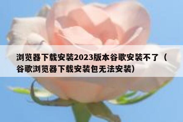 浏览器下载安装2023版本谷歌安装不了（谷歌浏览器下载安装包无法安装） 第1张