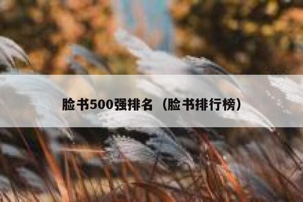 脸书500强排名（脸书排行榜） 第1张