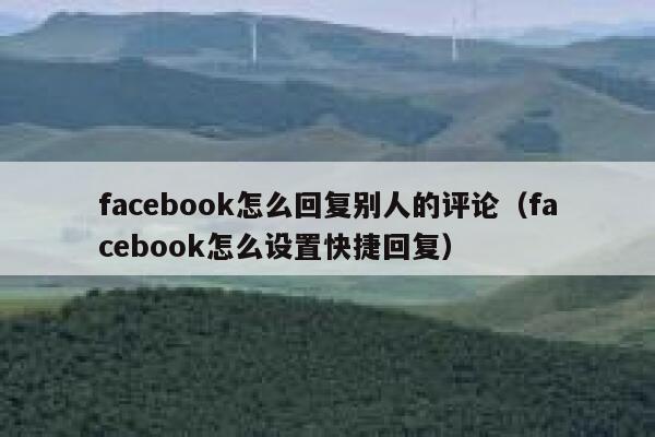 facebook怎么回复别人的评论（facebook怎么设置快捷回复） 第1张