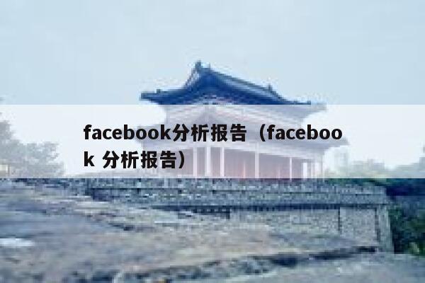facebook分析报告（facebook 分析报告） 第1张