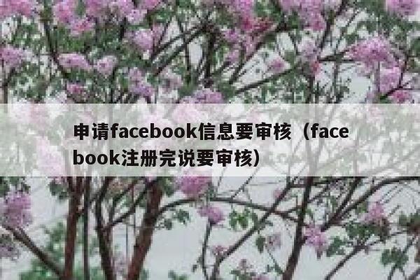 申请facebook信息要审核（facebook注册完说要审核） 第1张