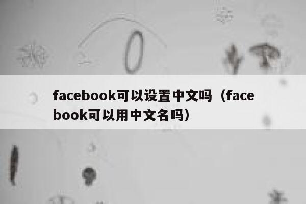 facebook可以设置中文吗（facebook可以用中文名吗） 第1张