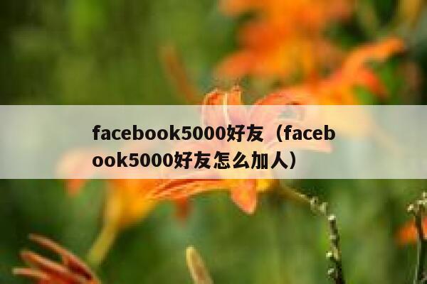 facebook5000好友（facebook5000好友怎么加人） 第1张