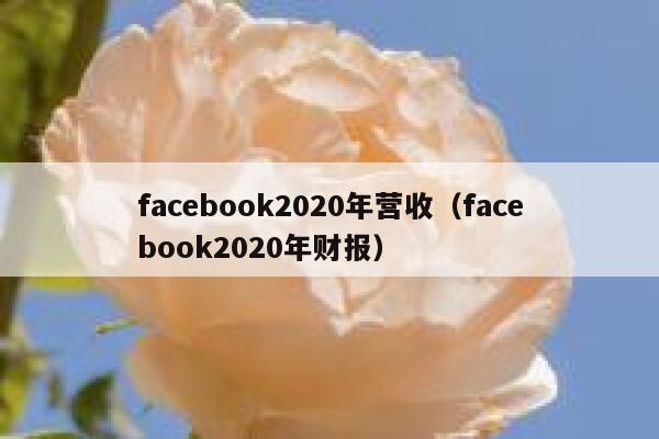 facebook2020年营收（facebook2020年财报） 第1张