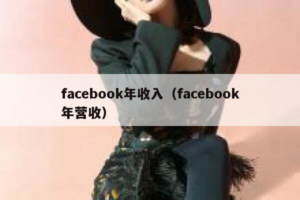 facebook年收入（facebook年营收） 第1张