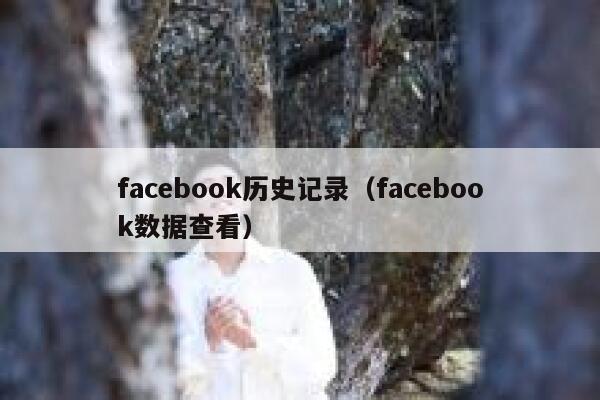 facebook历史记录（facebook数据查看） 第1张