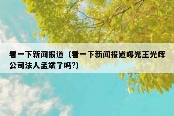 看一下新闻报道（看一下新闻报道曝光王光辉公司法人孟斌了吗?） 第1张