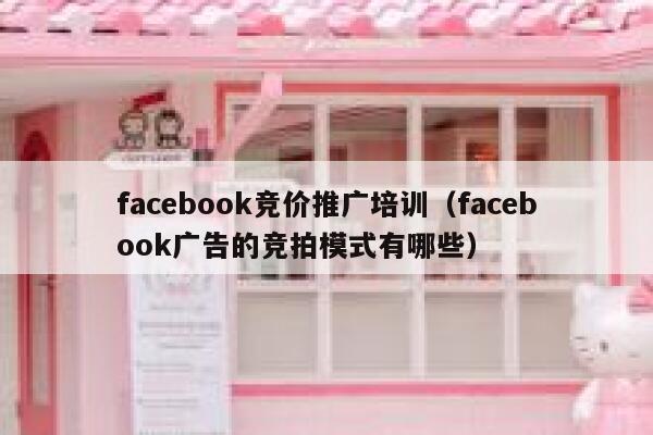 facebook竞价推广培训（facebook广告的竞拍模式有哪些） 第1张