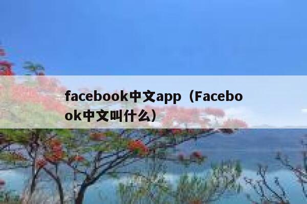facebook中文app（Facebook中文叫什么） 第1张