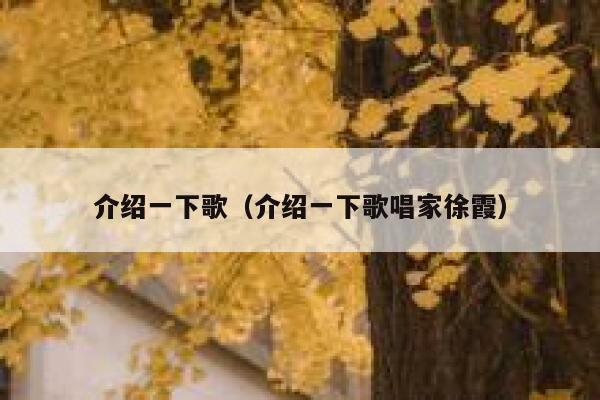 介绍一下歌（介绍一下歌唱家徐霞） 第1张